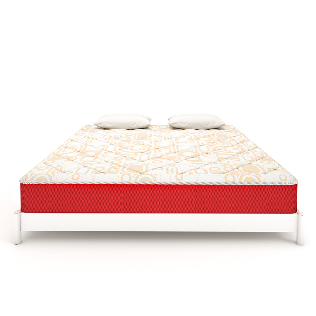 MoltyFoam 2in1